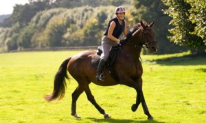 Woman_Horseriding_Alamy_tile